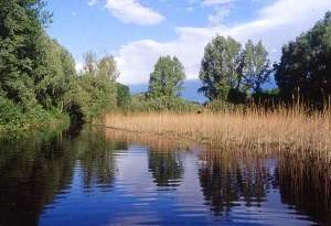 riserva naturale wwf le bine